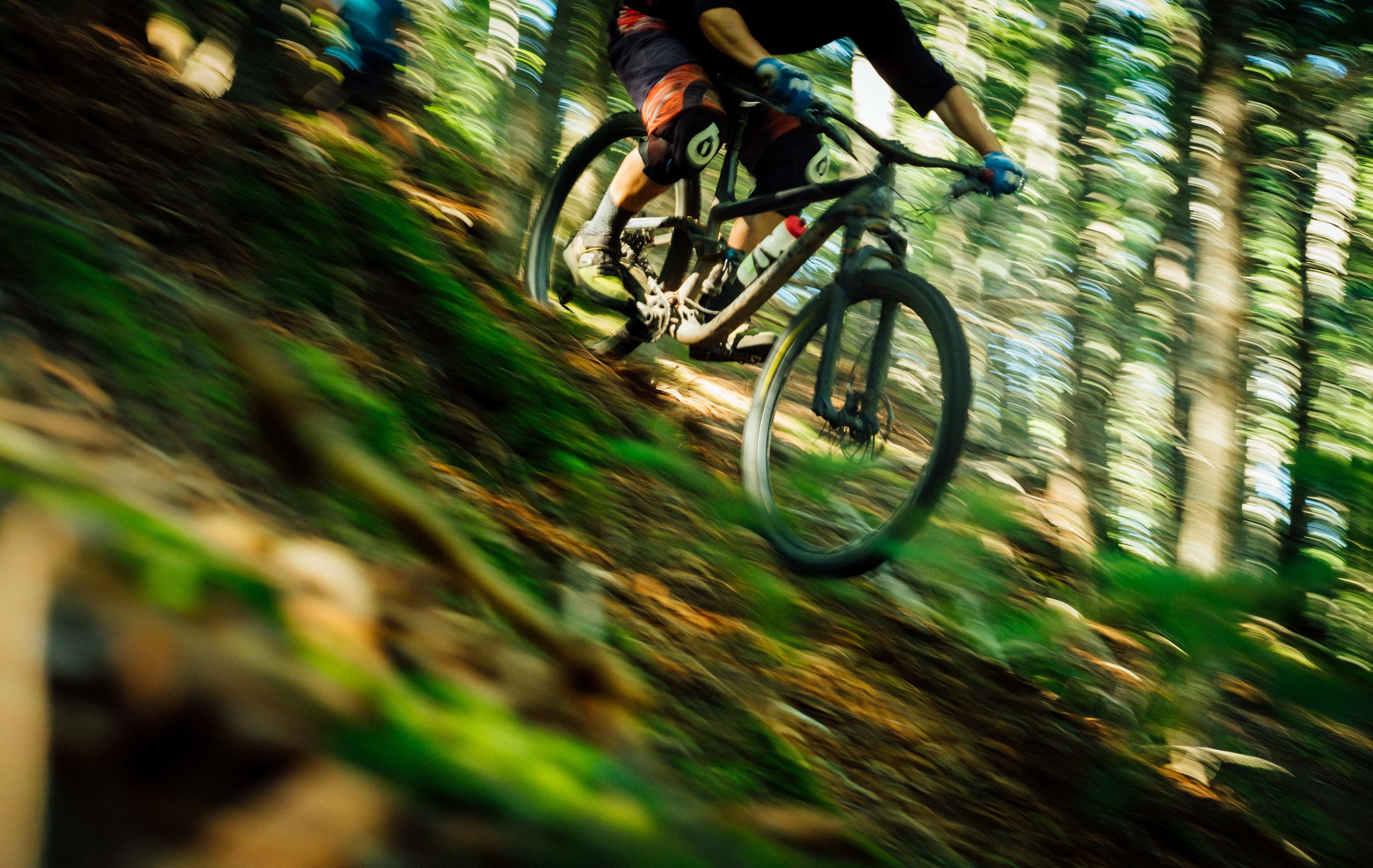 SEND IT