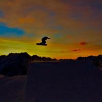 Robin_Krumholz369