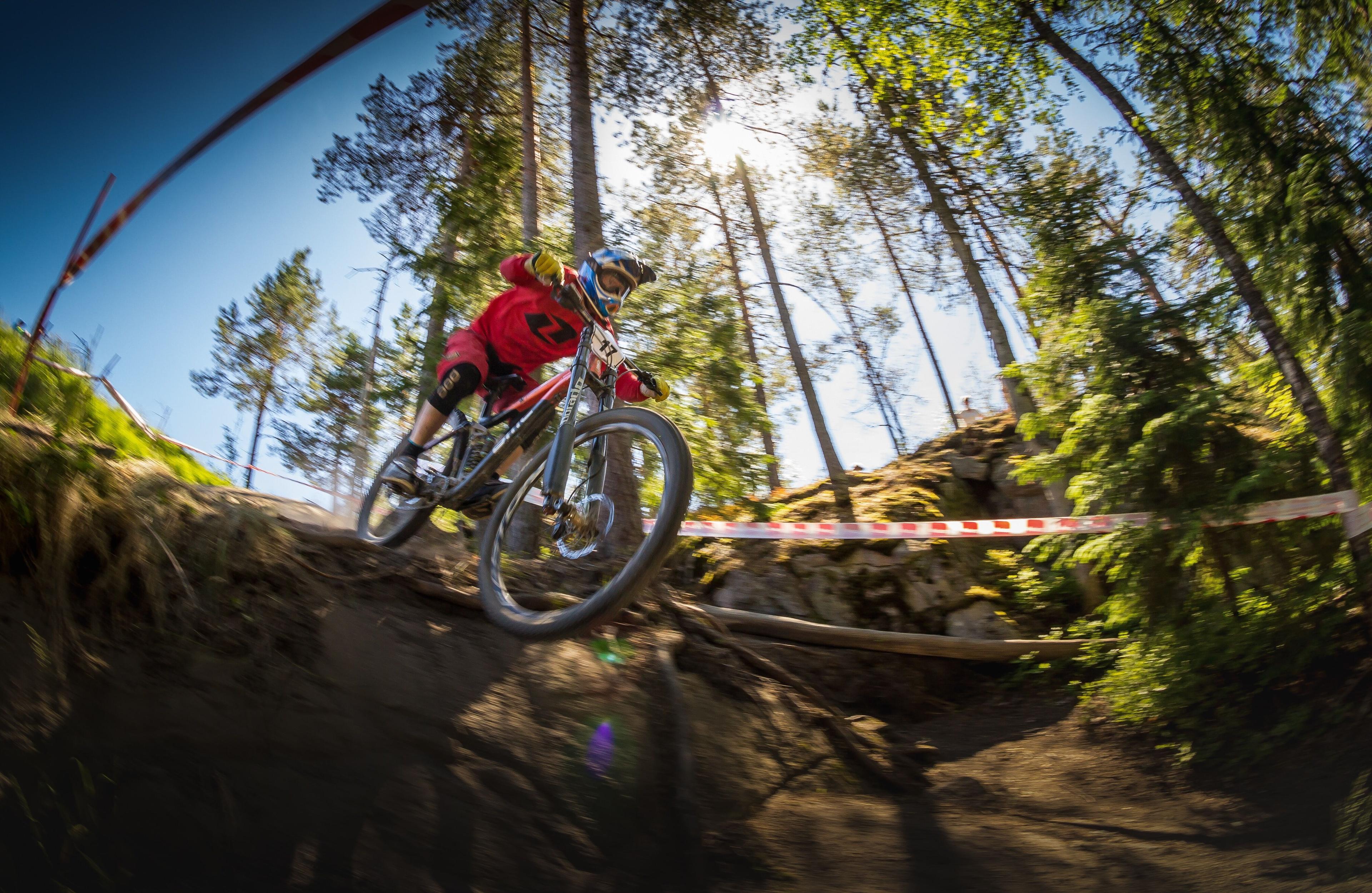 MTB Fork Maintenance